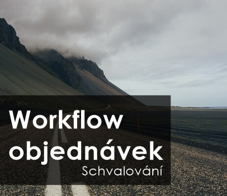 Workflow objednávek: elektronické schvalování žádostí o objednávky, Článek EXON